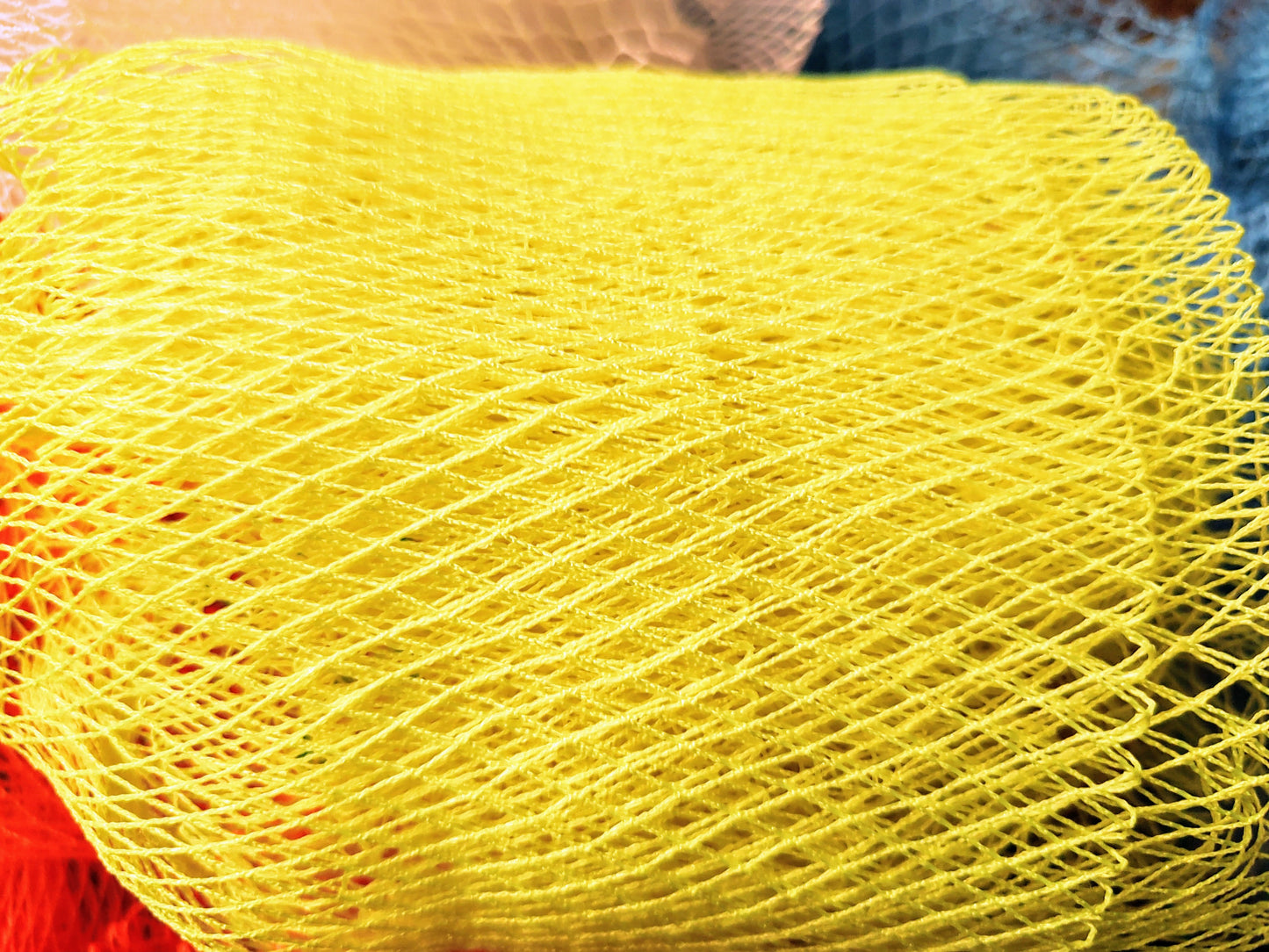 AFRICAN BATH SPONGE